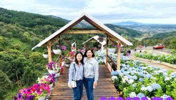 Kdl Sinh Thái Cao Nguyên Hoa Đà Lạt - Tiểu Khu 158