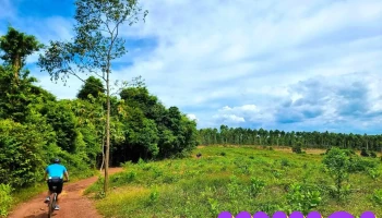Khu Bảo tồn Thiên nhiên - Văn hóa Đồng Nai - Vĩnh Cửu