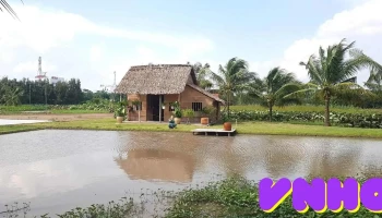 Khu di tích căn cứ tỉnh ủy Cần Thơ - Hậu Giang
