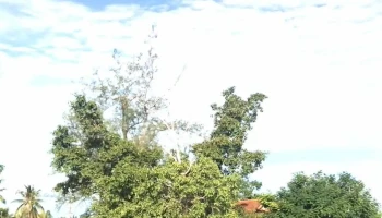 Khu di tích lịch sử Đình Phú Khương - Unnamed Road