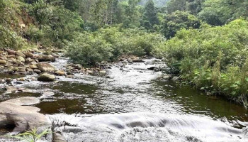 Khu Dl Sinh thái Khe Rỗ - Bắc Giang