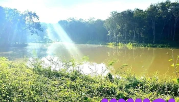 Khu du lịch Chou Shin - Bình Phước