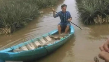 Khu du lịch Khóm Cầu Đúc - Hậu Giang
