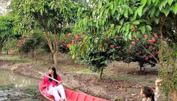 Khu du lịch sinh thái Màu Hồng - Bình Hàng Tây