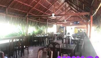 Khu du lịch sinh thái nghỉ dưỡng Sala - Vĩnh Long