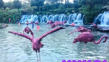 Khu du lịch sinh thái nhà vườn Đức Đường - Xuân Viên