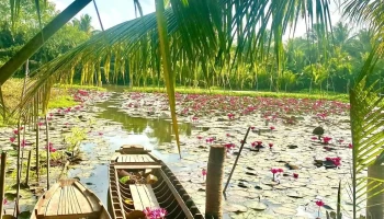 Khu Du Lịch Sinh Thái Đảo Du Thuyền - Tân Hoà