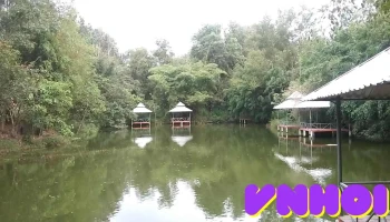 Khu Du Lịch Suối Nhum - Hắc Dịch