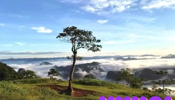 Khu du lịch đồi hích - Thanh Hóa