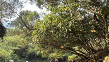 Khu sinh thái Suối Tà Lao - Tà Long