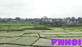 Khu Sinh Thái - Tuy Lộc
