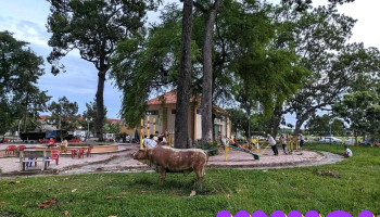 Khu vui chơi trẻ em - Trảng Bàng