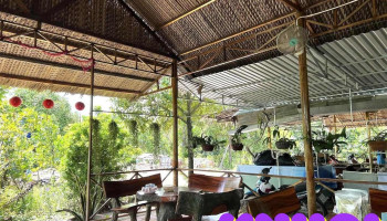 Khu vườn màu tím mạnh Trần cồn Thới Sơn - Tiền Giang