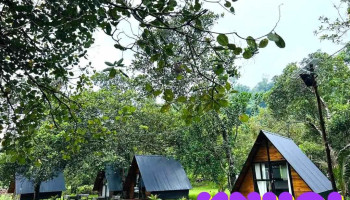 La Ngâu Camping - Bình Thuận