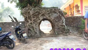 Làng Đại Bình - Quảng Nam