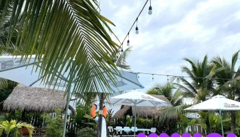 LaVi Coffee - Phước Trạch