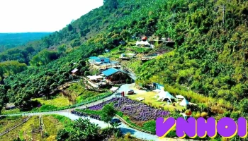 Lưng Chừng Mây - Định Quán