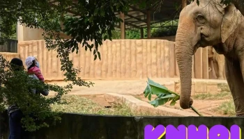 Mường Thanh Green Land Diễn Lâm - Nghệ An