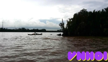 Mật ong Vườn Lan - Tiền Giang
