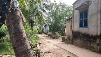 Nam Binh Homestay - Bến Tre