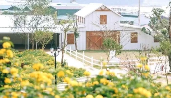 Nông Trại Cún Puppy Farm - Lâm Đồng