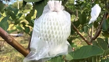 Nông trại Tư Hiền Organic - Bình Dương