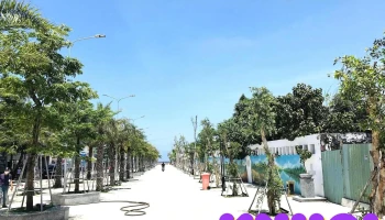 Phố đi bộ Hồ Tràm - Phước Thuận