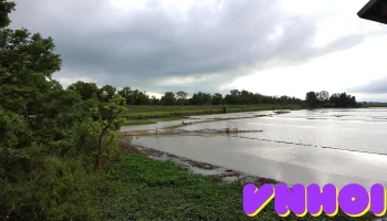 Quán Cà Phê Quỳnh Hoa - Ql30