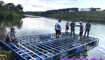 Quảng An Camping Farm - Đắk R'Lấp