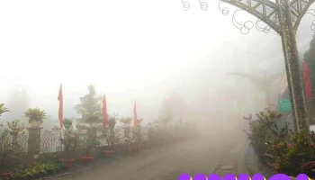 Quảng Trường Huyện Tam Đảo - Vĩnh Phúc