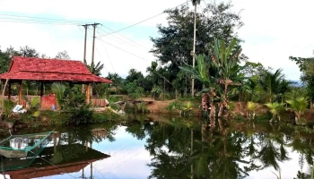 Quảng trường Krông Nô - Unnamed Road