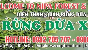 Rừng Dừa Xanh Hội An - Quảng Nam
