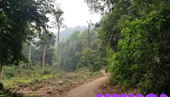 Rừng quốc gia Xuân Sơn - Phú Thọ