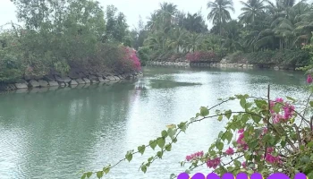 Sao Biển Island - Khánh Hòa