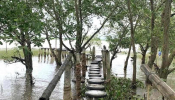 Sinh thái Hòa Lộc - Hải Phòng