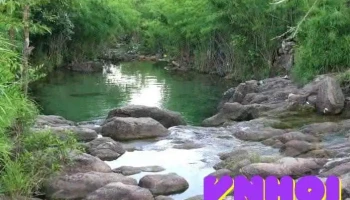 Suối Trúc - Bình Dương