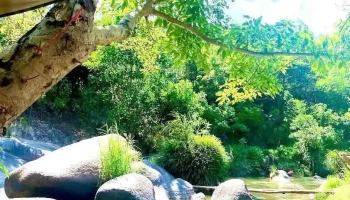 Suối Mơ Dốc Tình Glamping & Retreat Ninh Thượng Ninh Hoà Khánh Hoà - Khánh Hòa