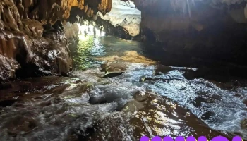 Suối Mỏ Gà - Thái Nguyên