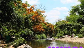 Suối Tà Má - Unnamed Road