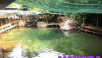 Suối Thác Đổ - Hói Dừa - Thành Phố Huế