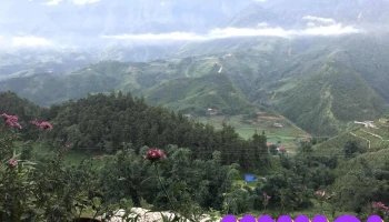 Suối Vàng Thác Tình Yêu - Sơn Bình