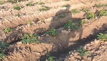 Suối đá duong minh châu tây Ninh Việt Nam - Suối Đá