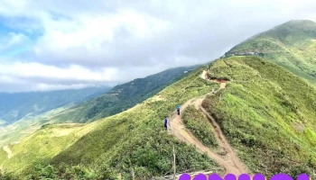 Sống Lưng Khủng Long - điểm Săn Mây - Sơn La