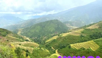 Ta Xua Nature Reserve - Sơn La