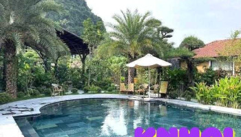 Tam Cốc Retreat Ninh Bình - Ninh Bình