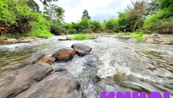 Thác An Viễn - Đông Hoà