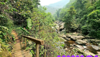Thác khủng long Háng Đồng - Háng Đồng
