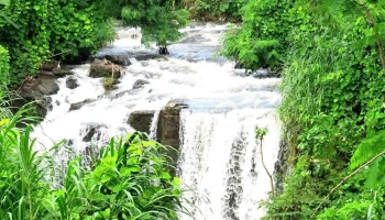Thác Suối Reo (Reo Fall) - Gia Tân 1