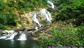 Thác Đạo Trù - Đạo Trù