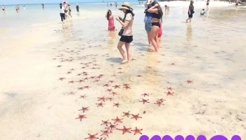 Thành Duy Phú Quốc Travel - Kiên Giang